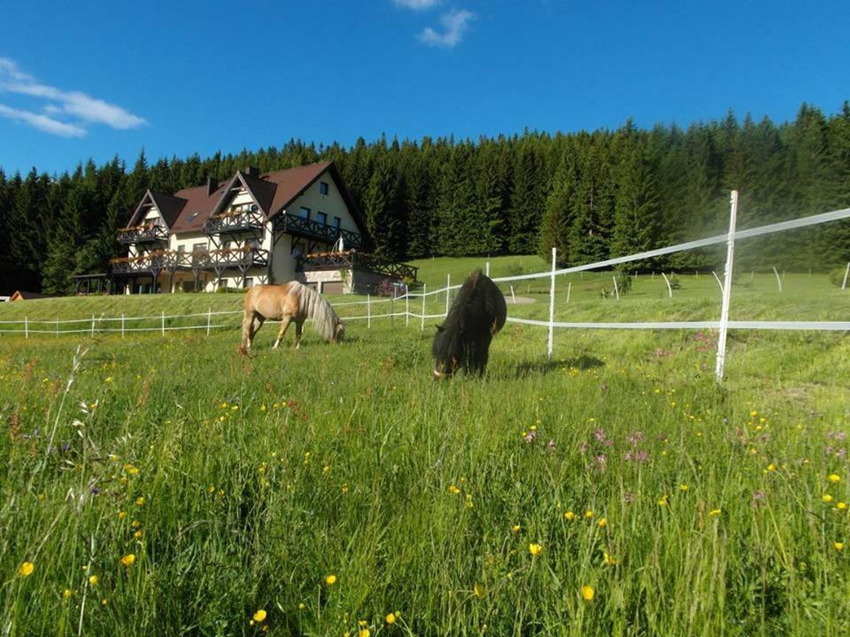 Villa Wichrowe Wzgorze Stronie Śląskie Exterior foto